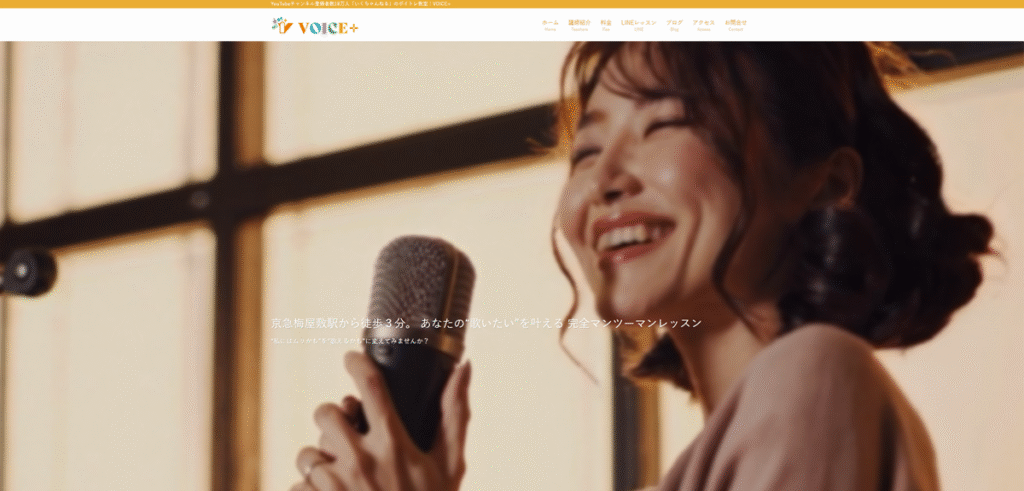 VOICE+